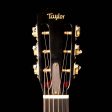 Taylor K22e 12-Fret Grand Concert Shaded Edgeburst 2013 Sale