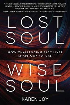 Karen Joy: Lost Soul, Wise Soul [2022] paperback For Discount