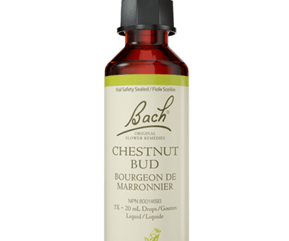 Bach Chestnut Bud 20ml Supply