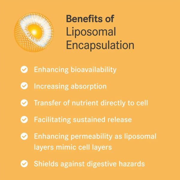 Pascoe Vitapas C Liposomal 90s Sale