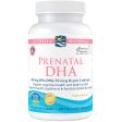 Nordic Naturals Prenatal DHA 90s Hot on Sale