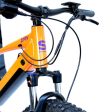 Shogun Zippy 24  Electric Bike - Orange Online