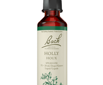 Bach Holly 20ml Online Hot Sale