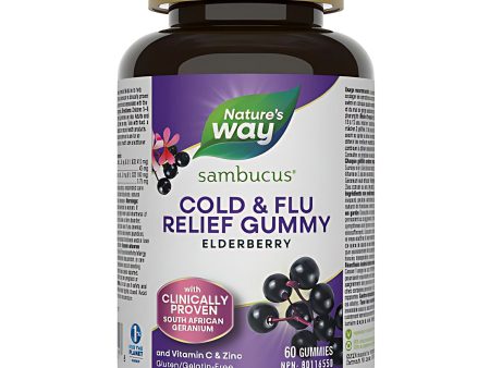 Nature s Way Sambucus Adult Cold & Flu Relief Gummies 60s Online