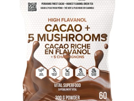 Schinoussa High Flavanol Cocoa + 5 Mushrooms 300g For Discount