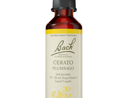 Bach Cerato 20ml Discount