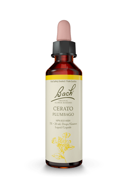 Bach Cerato 20ml Discount