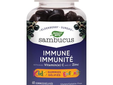 Nature s Way Sambucus Immune Support Kids Gummies 60s Online now