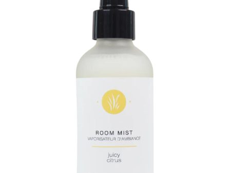 All Things Jill Juicy Citrus Room Mist 125ml Online