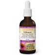 Natural Factors Echinacea Alcohol-Free, Natural Berry 50ml For Discount