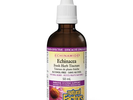 Natural Factors Echinacea Alcohol-Free, Natural Berry 50ml For Discount