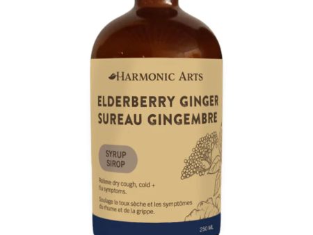 Harmonic Arts Elderberry Ginger Syrup 250ml Discount