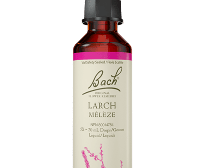 Bach Larch 20ml Online now