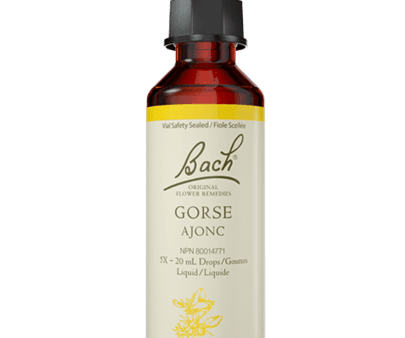 Bach Gorse 20ml Sale