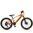 Shogun Zippy 24  Electric Bike - Orange Online