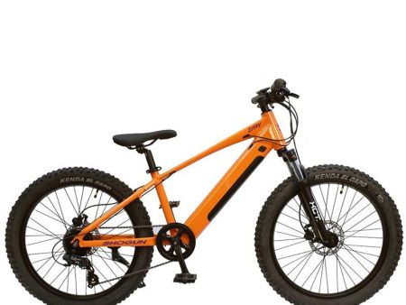 Shogun Zippy 24  Electric Bike - Orange Online