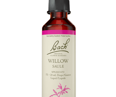 Bach Willow 20ml Online